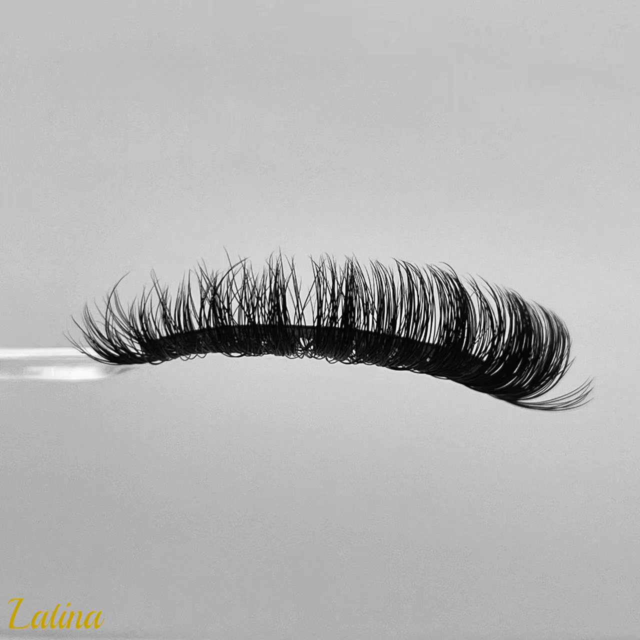 Latina ( Russian D Curl 15mm Fiber Lashes )
