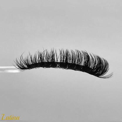 Latina ( Russian D Curl 15mm Fiber Lashes )